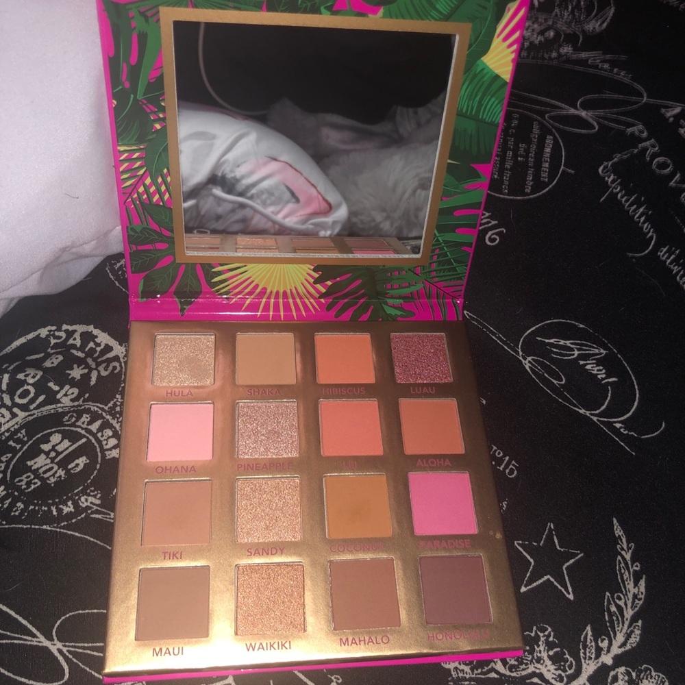Bh cosmetics hangin’ in Hawaii palette